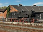 Bergkönigin 95 016