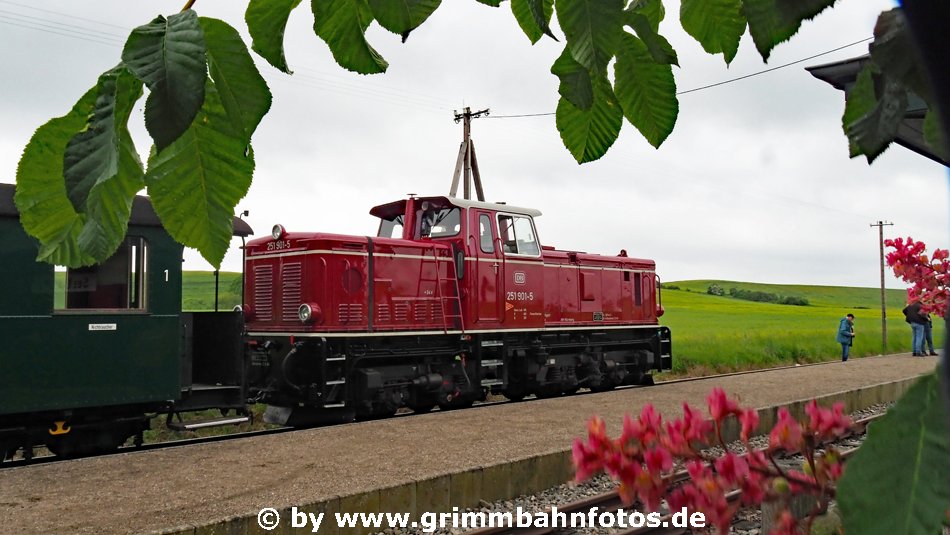 251 901 der RÜBB in Seelvitz