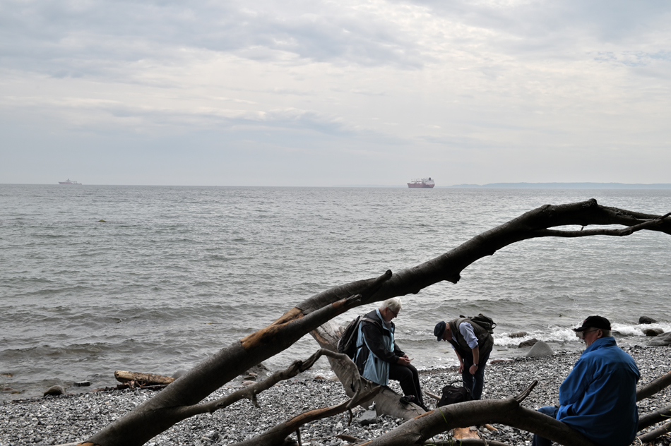 Strandläufer bei Sassnitz