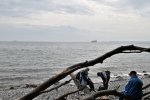 Strandläufer bei Sassnitz