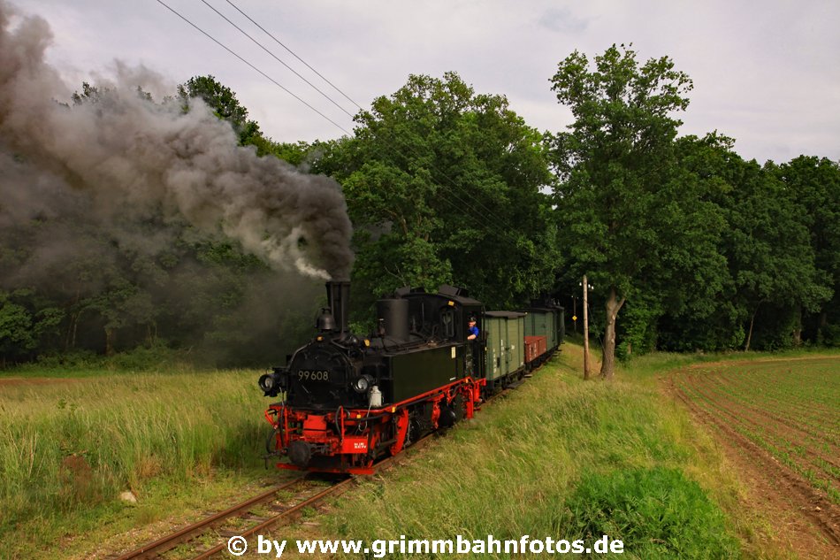 Mit 99 608 nach Mesendorf