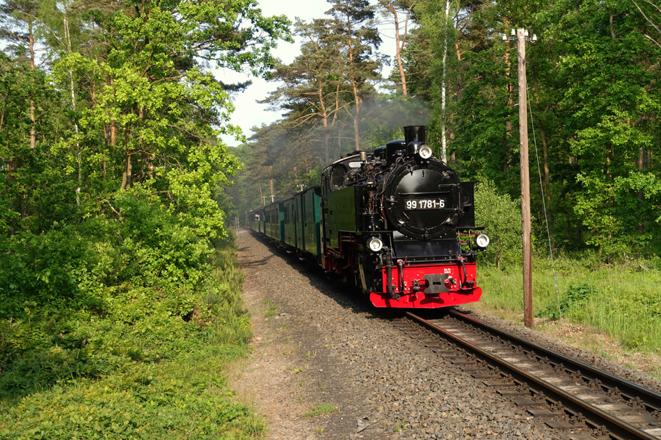 99 1781 in der Baaber Heide