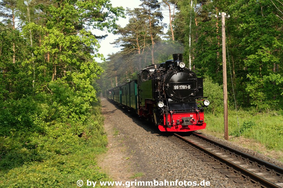 99 1781 in der Baaber Heide