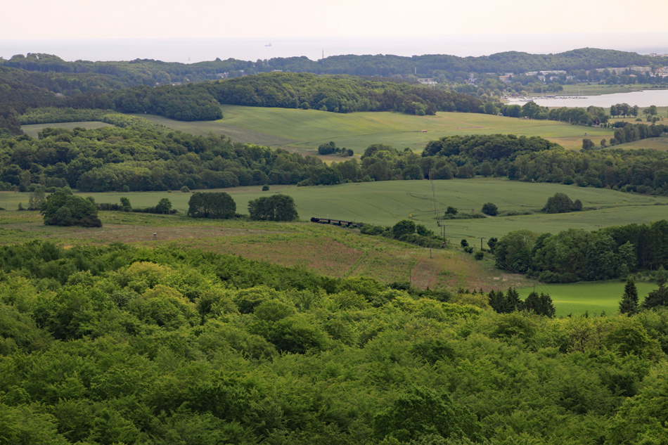 Rasender Roland in der Granitz