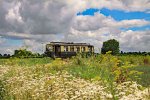 Triebwagen 910 im Blumenmeer
