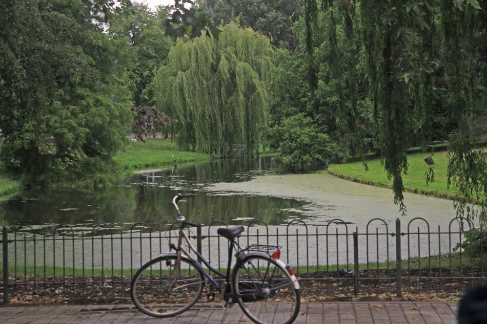 Fahrräder und Tümpel