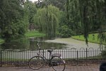 Fahrräder und Tümpel
