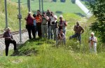 Fan-Fotografen auf der Pirsch