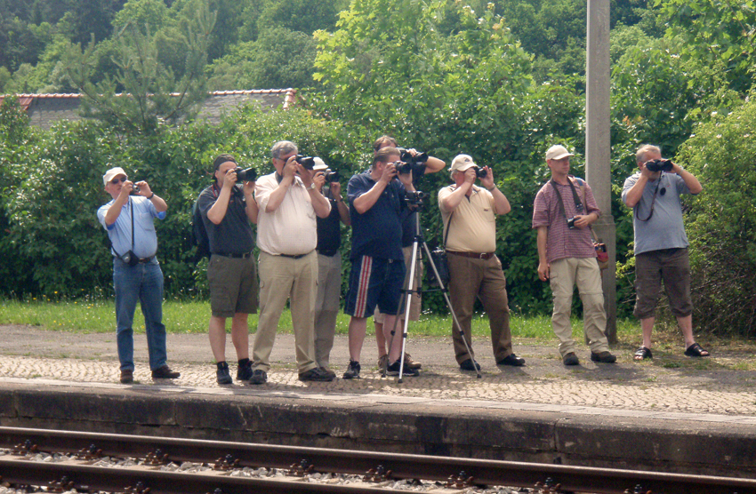 Fans in Rottenbach