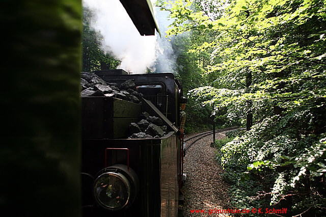 unterwegs im "Wald"-Viertel