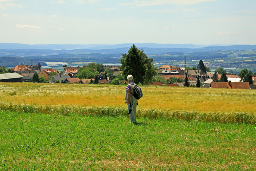 Heiligenberg von Amalienhöhe