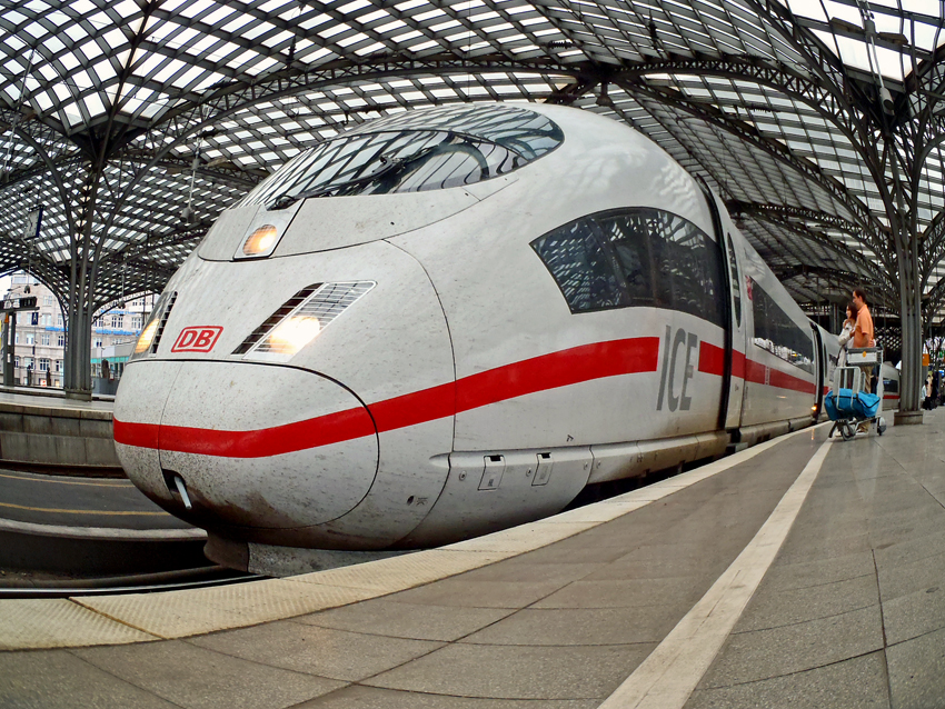 403 526 Fish Eye Köln