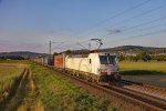 Aktuelle Bahnfotos