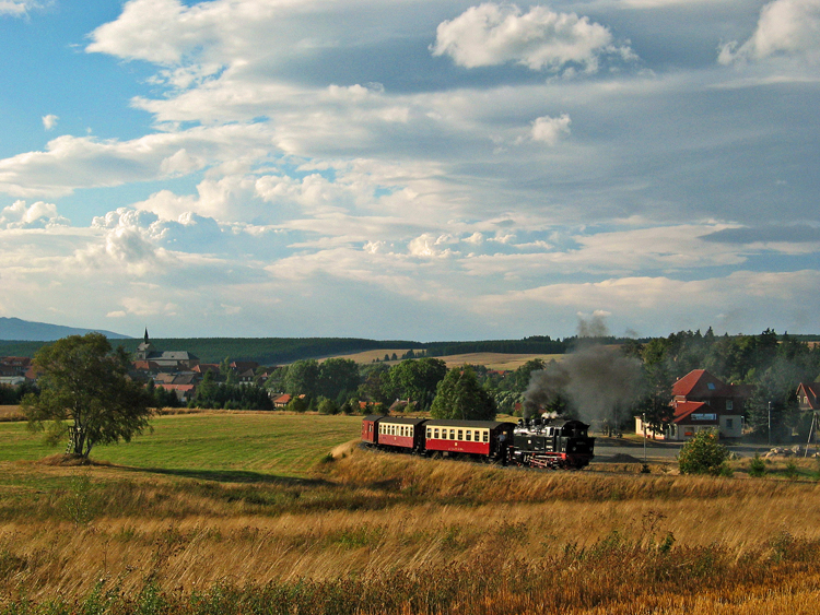 99 6001 Hasselfelde