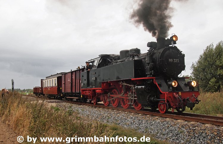 Sonderfahrt Molli Steilküste