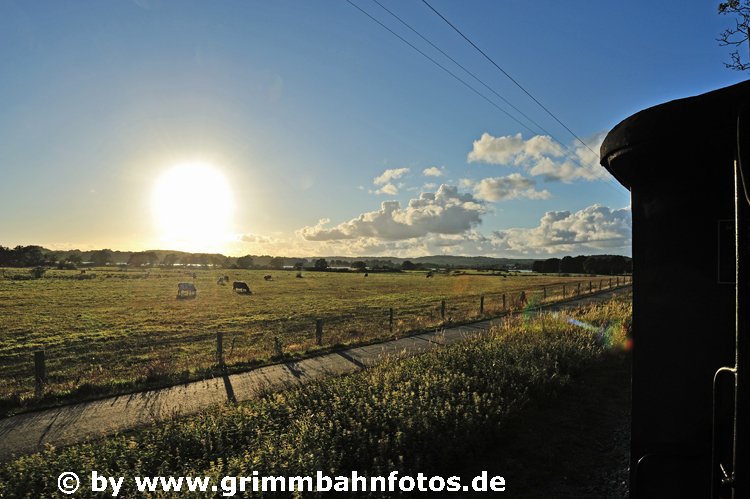 Roland - Stimmung bei Baabe