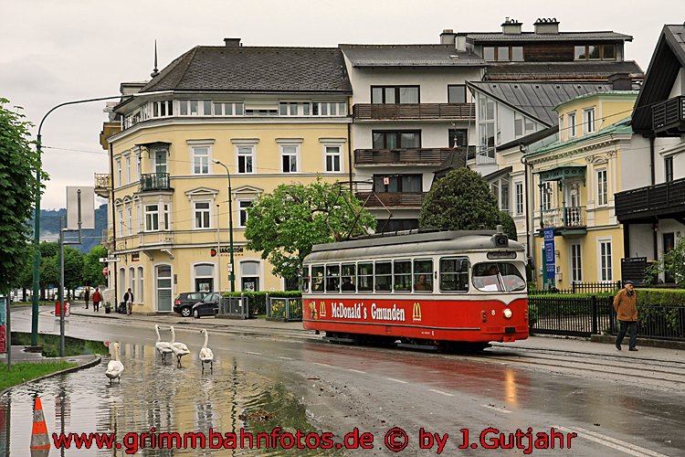 Gmunden, Straba und Schwäne