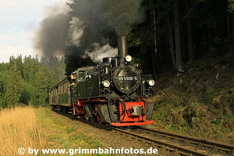 99 5906, Waldstimmung beim HP Sophienhof