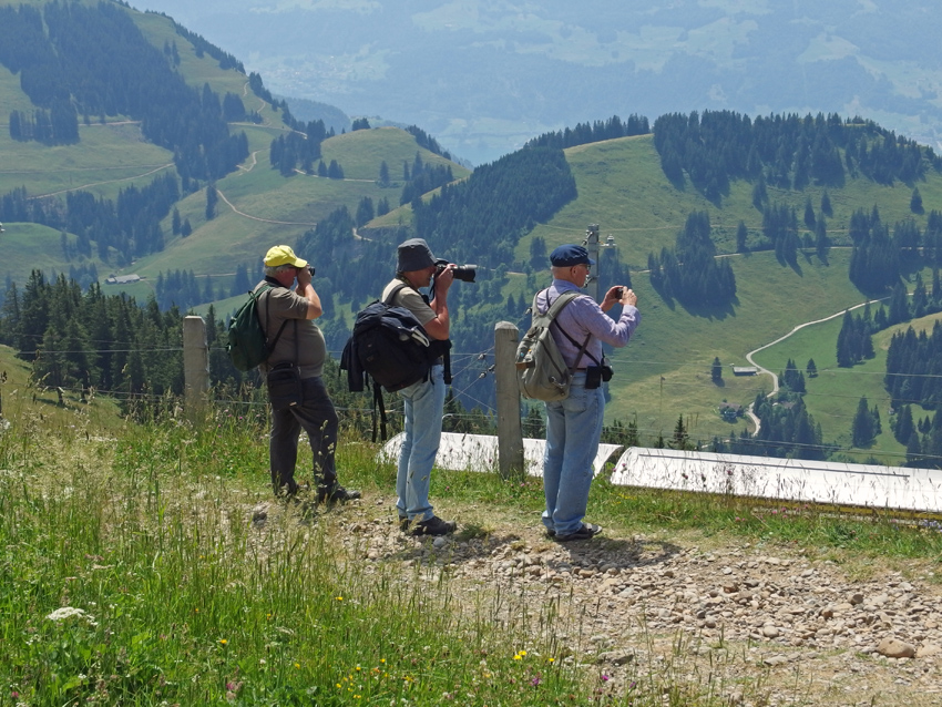 Die Drei auf der Rigi...
