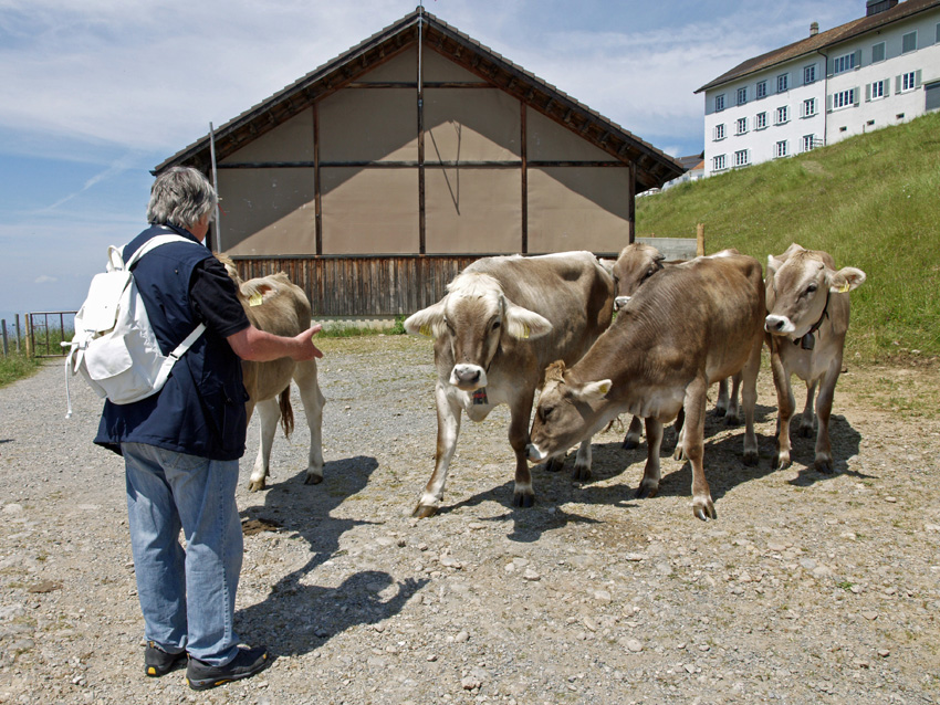 RB redet mit dem Rindvieh