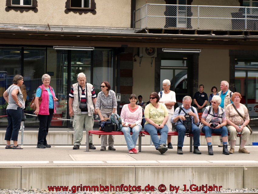 Gelbjackenbeobachter in Meiringen