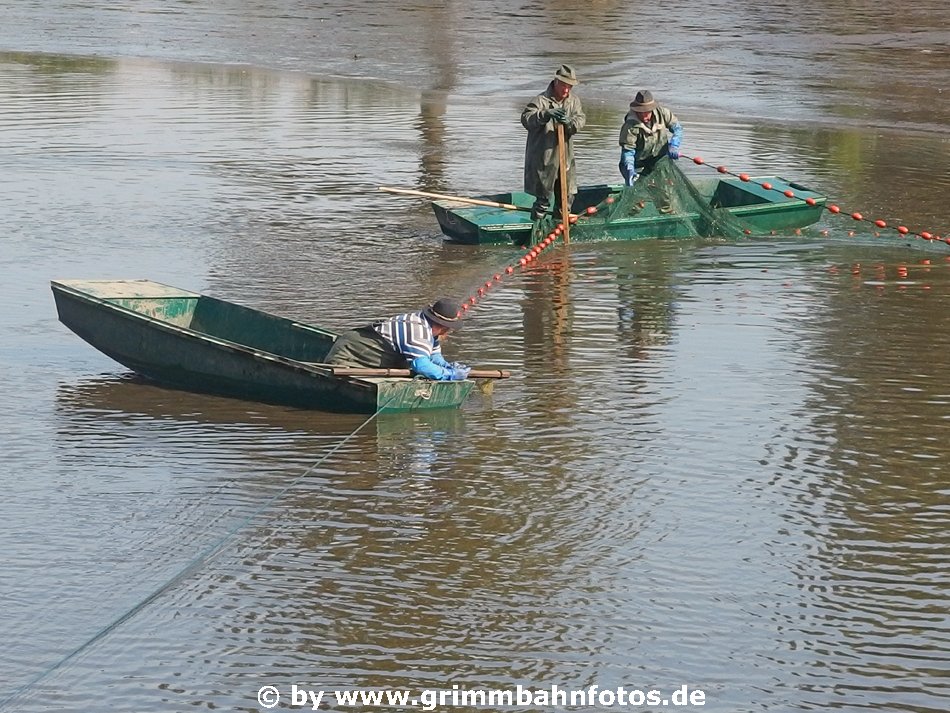 Abfischen in Schönau