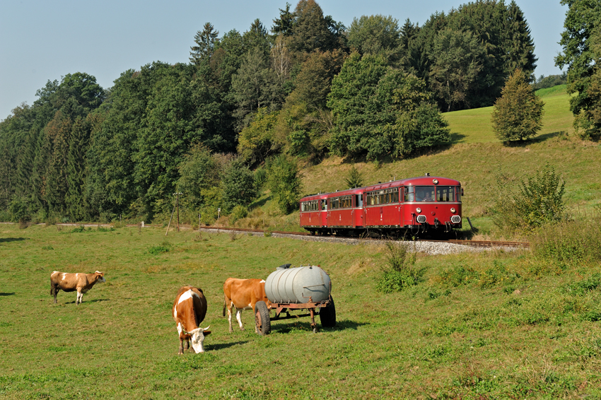 Ferkeltaxe, Faßwagen und Kühe