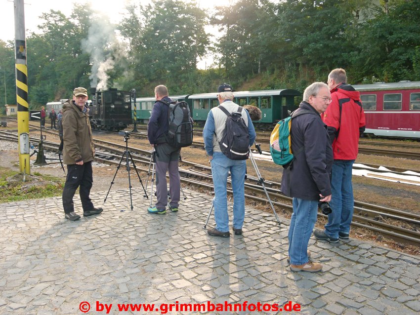 Fans in Erwartung