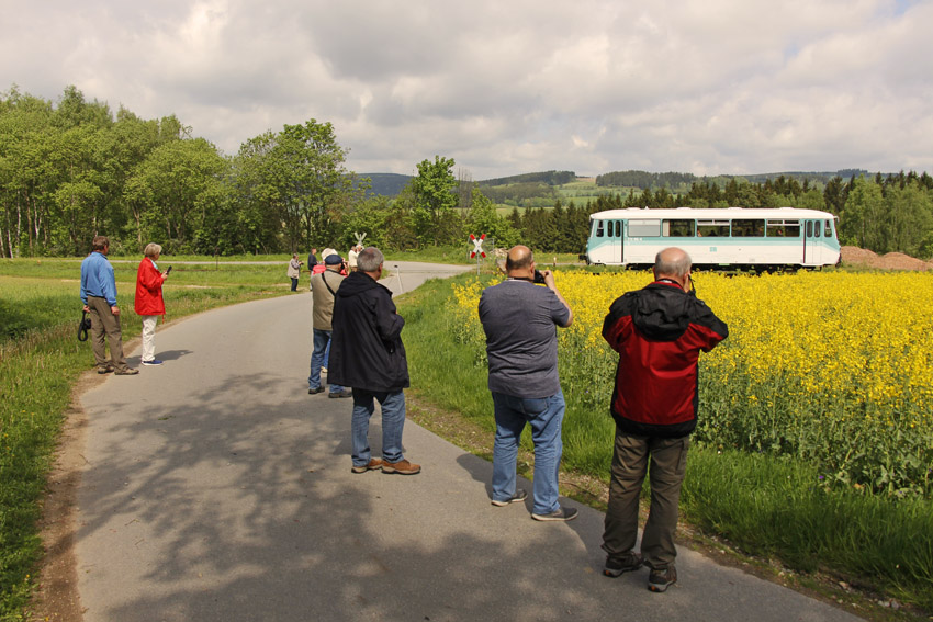 Ferkeltaxe und Fotografen