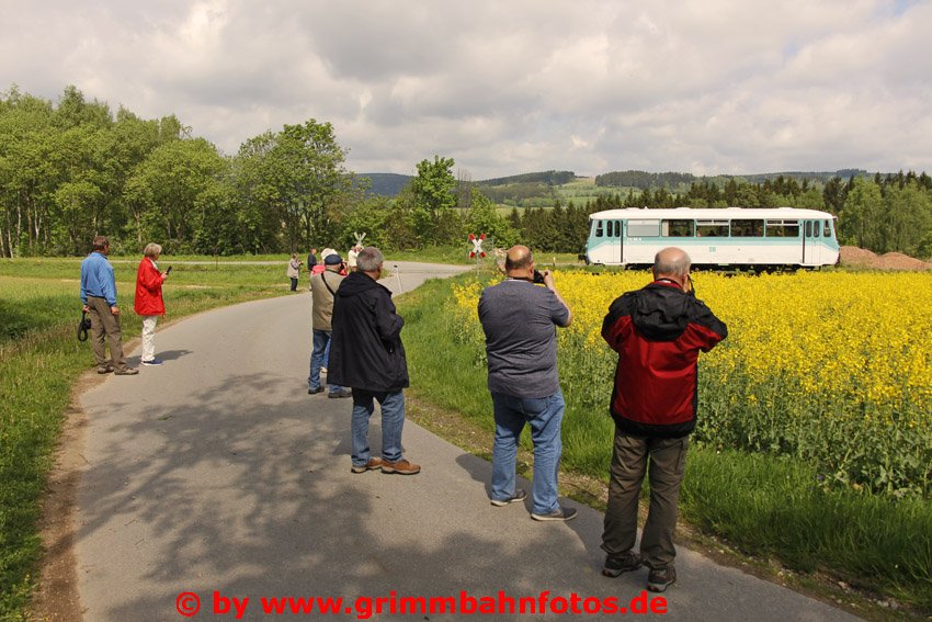 Ferkeltaxe und Fotografen