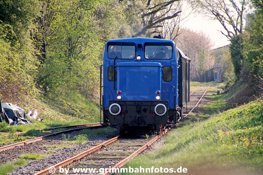 Blaues Wunder in Probsteierhagen