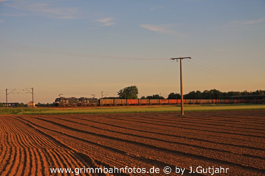 Doppel MERC Taurus im Abendlicht