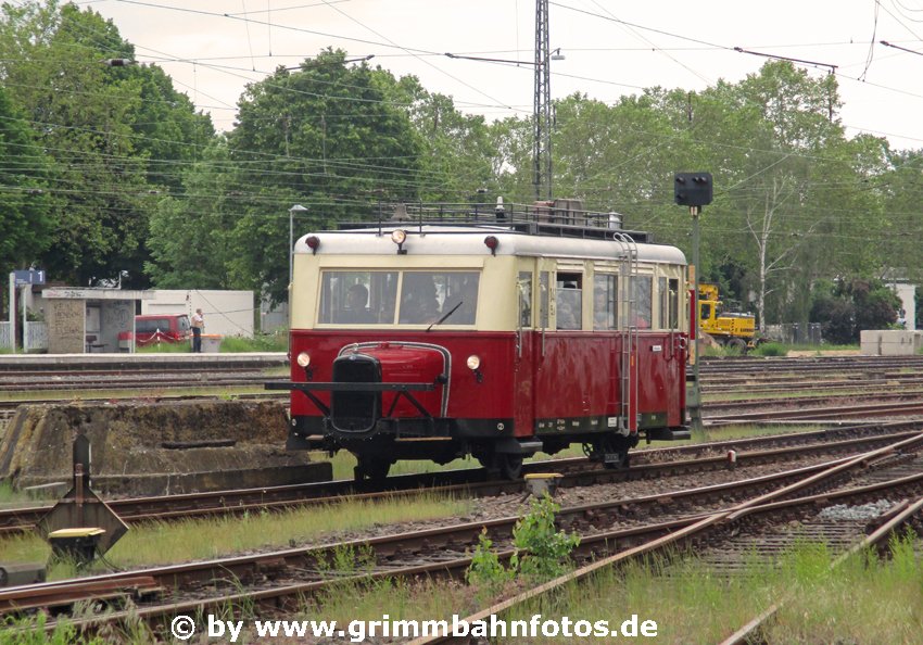 DME Schweineschnäutzchen