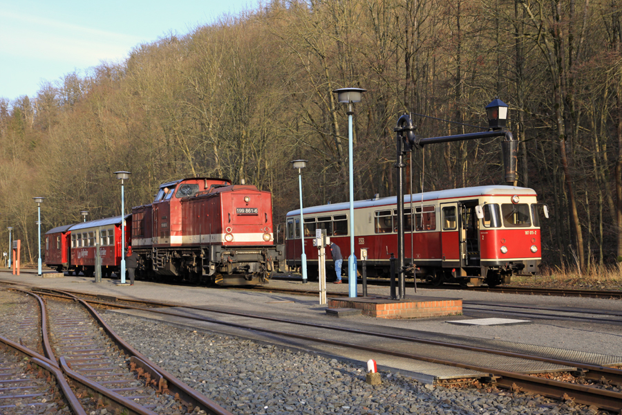 Harzkamel 199 861 trifft Fischstäbchen 187 011