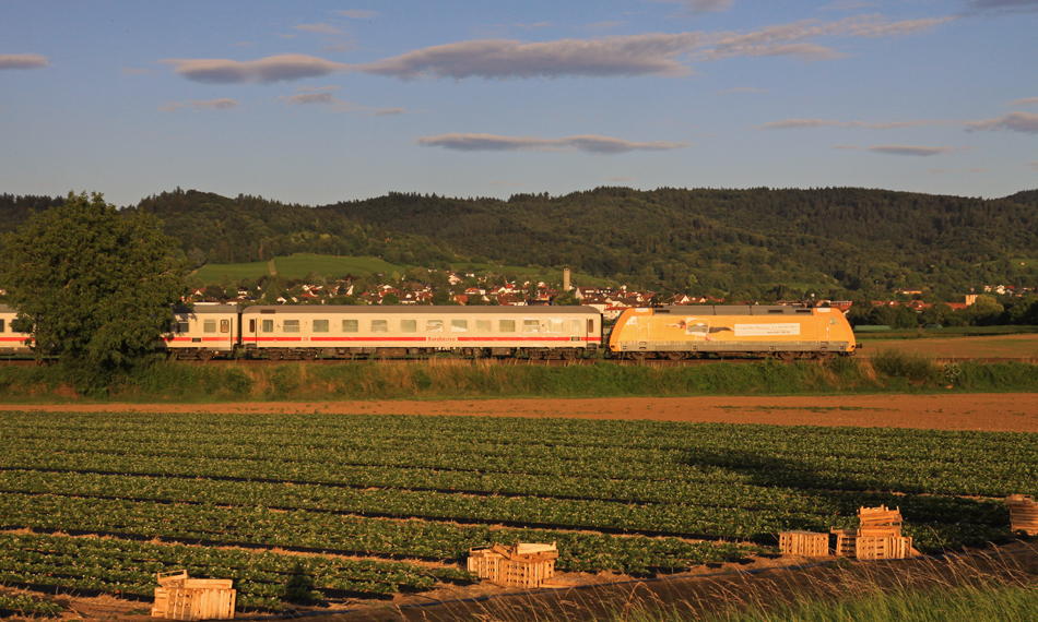 101 030 "Bahn BKK" mit IC 2375