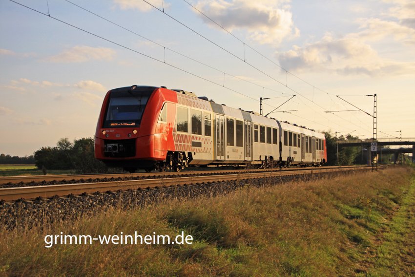 Lint nach Fürth/Odw.