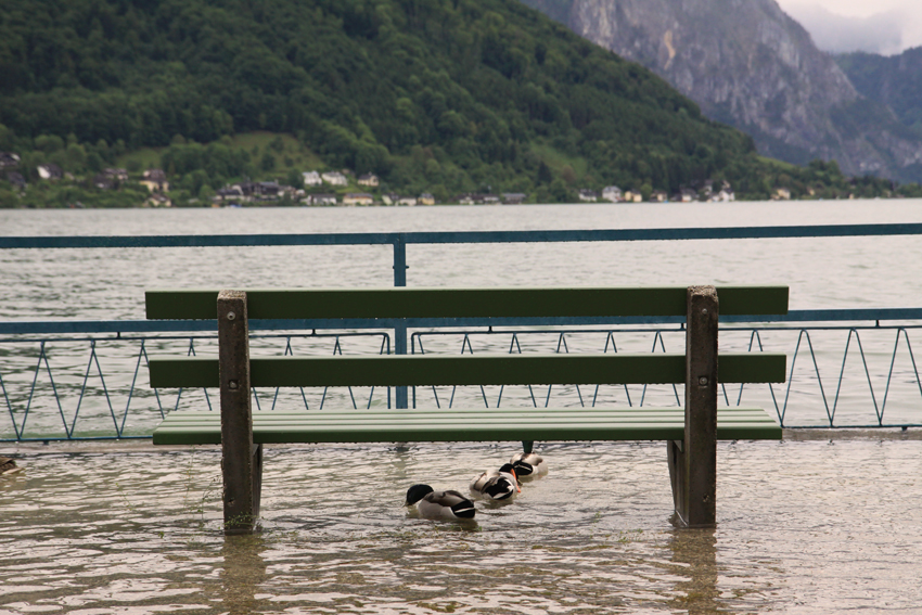 Schwimmausflug in Gmunden