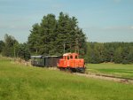 Oranger Tupfer im grünen Waldviertel