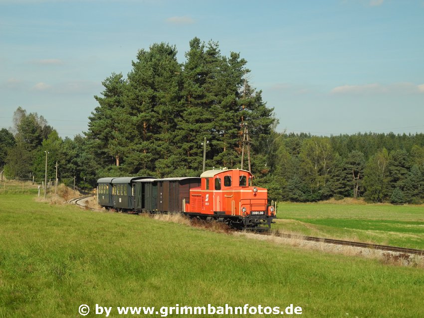 Oranger Tupfer im grünen Waldviertel