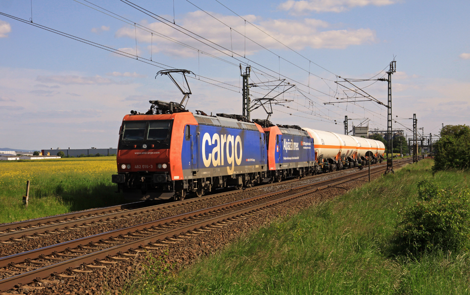 SBB Cargo 482 016 + Alpäzähmer Riedbahn