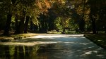 Bezaubernde Stimmung im Hofgarten