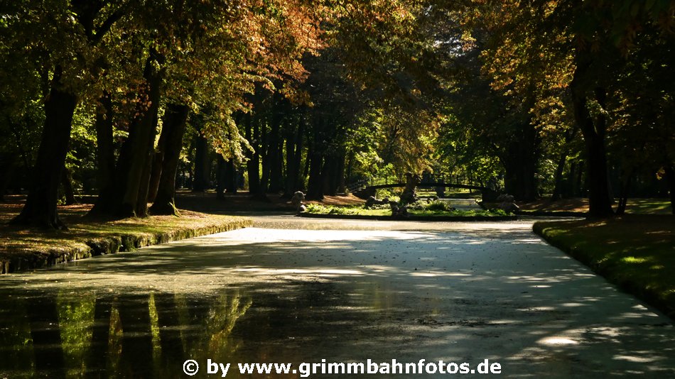 Bezaubernde Stimmung im Hofgarten